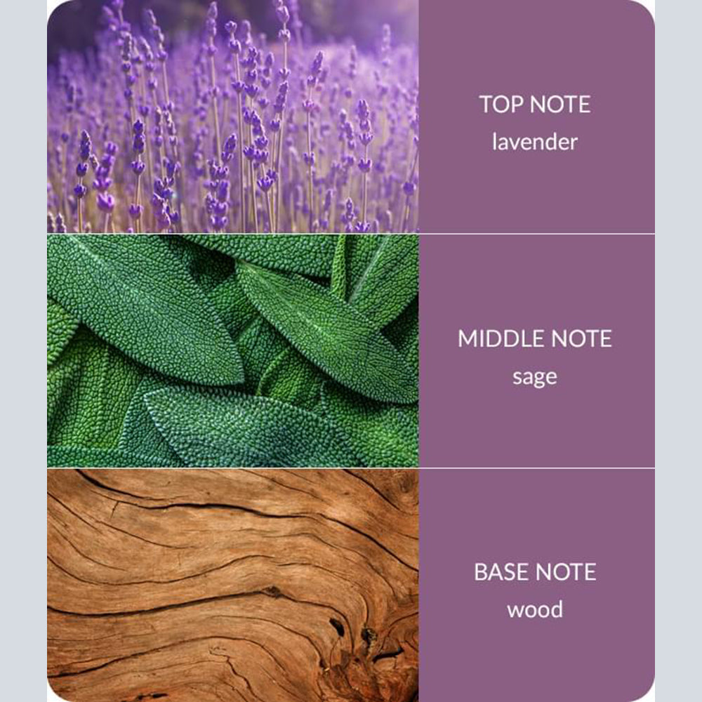 Heart & Home - Reed Diffusers - Lavender & Sage