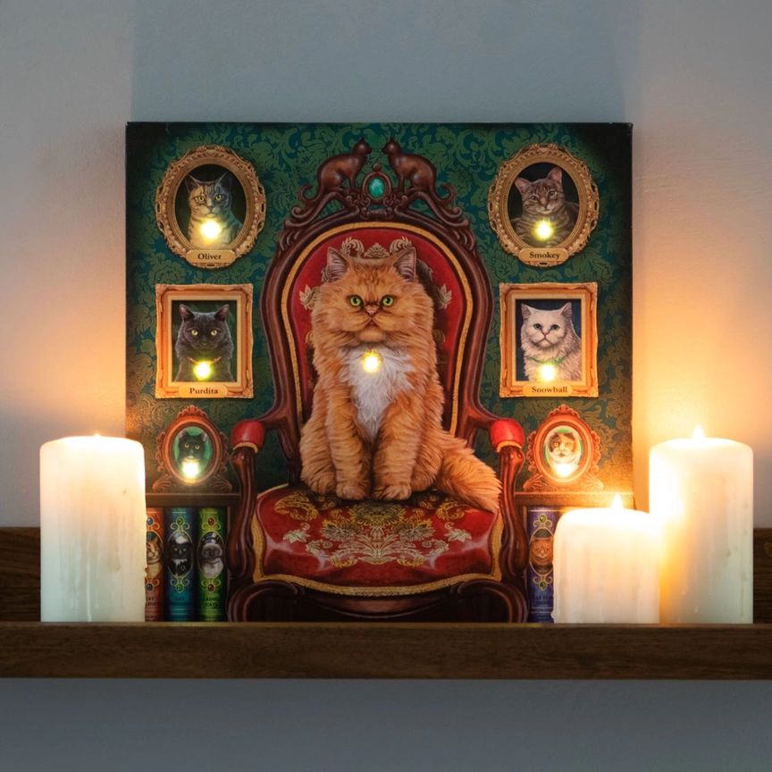 Lisa Parker - Mad About Cats Light Up Canvas Plaque