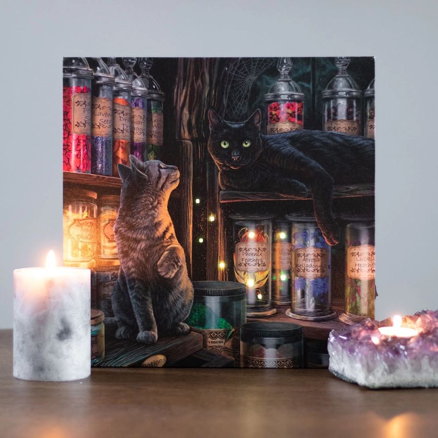 Lisa Parker - Magical Emporium Light Up Canvas Plaque