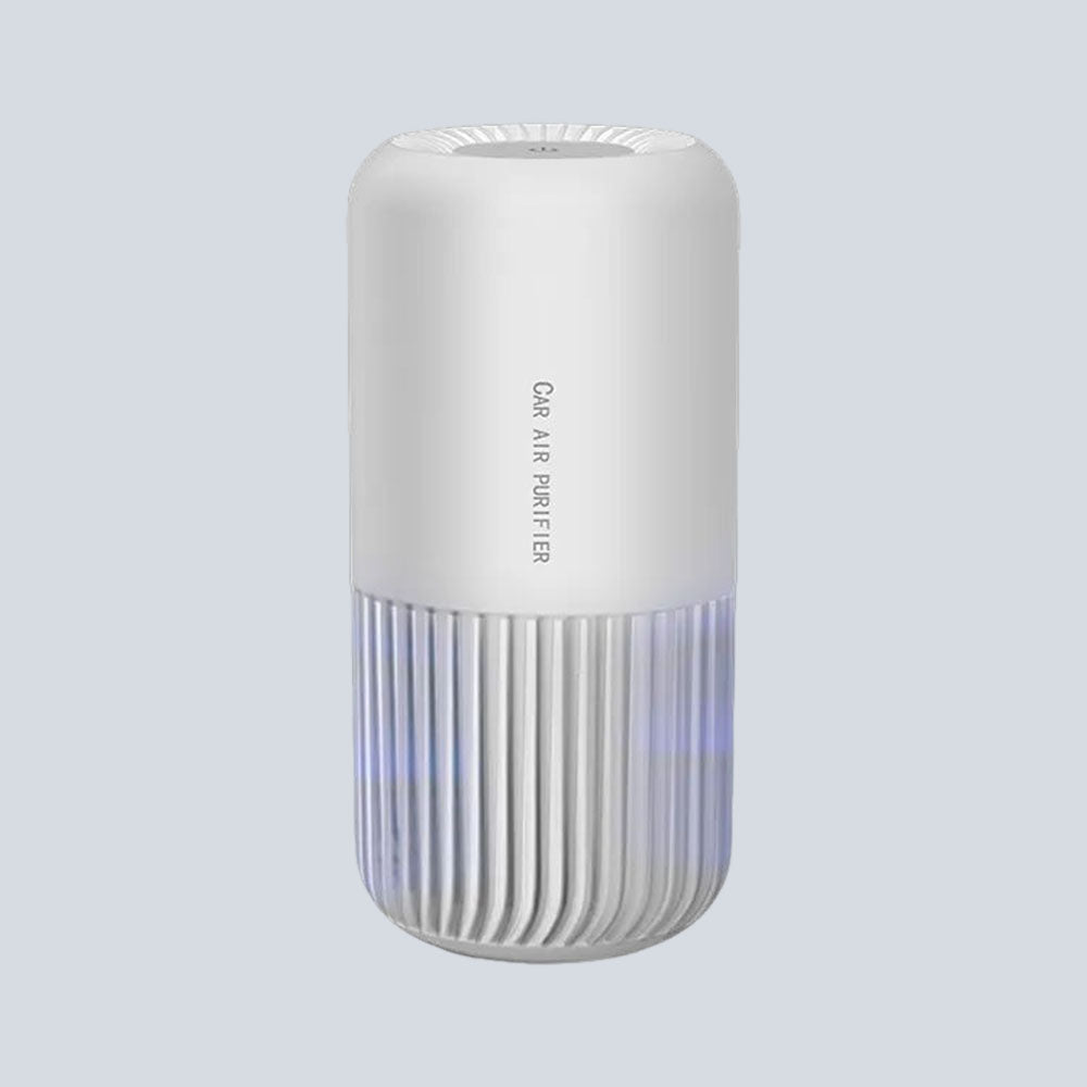 Mystic Falls Car & Home Air Purifier