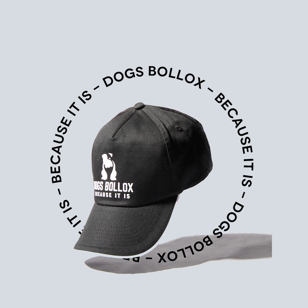 Men's Dogs Bollox Easy-Fit Baseball Cap